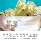 【2026/08 発売】アンベリスールデクラ