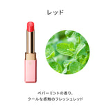 マニフィカトゥールレーブルn