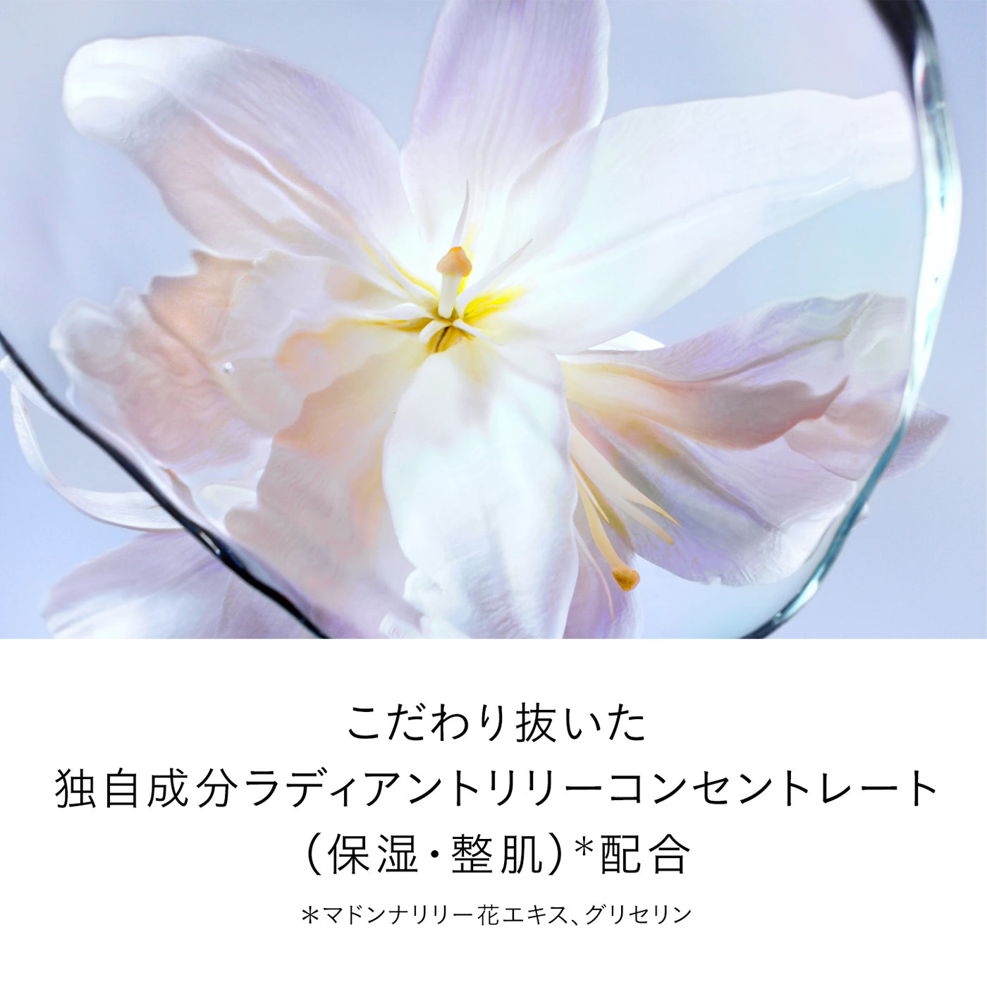 楽天市場】資生堂 クレドポーボーテ ル・セラムII 75ml ラージ